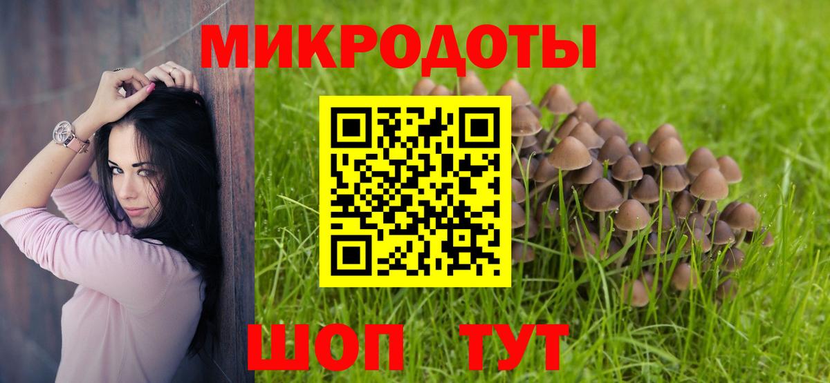 Тольятти  Псилоцибиновые грибы MAGIC MUSHROOMS  Вход с VPN 
