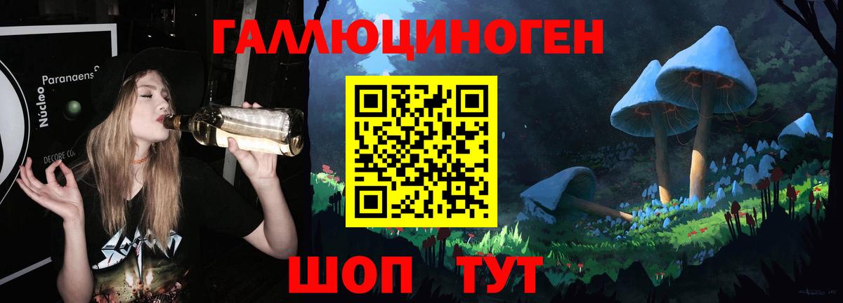 Галлюциногенные грибы Psilocybine cubensis Тольятти